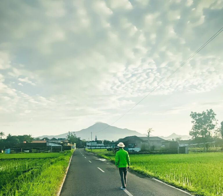 Sekilas Tentang Dayeuhluhur