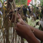 Sekilas Tentang Jembatan Cincin