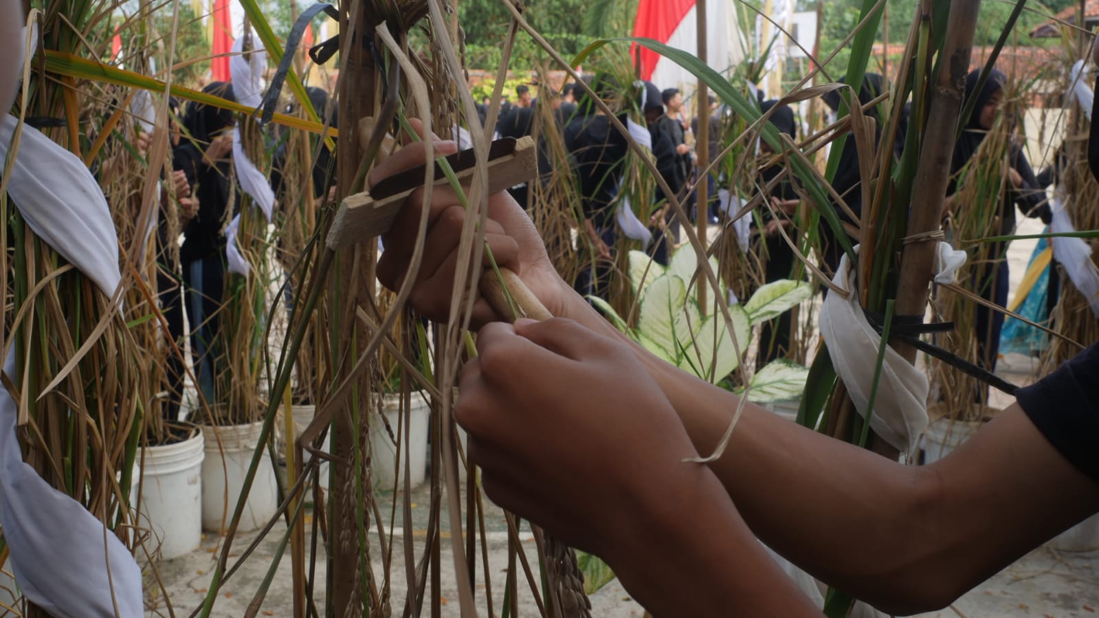 Sekilas Tentang Dayeuhluhur