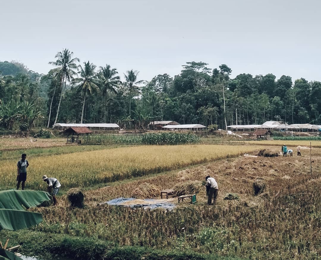 Sekilas Tentang Dayeuhluhur