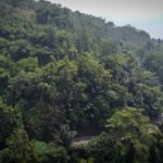 Sekilas Tentang Jembatan Cincin