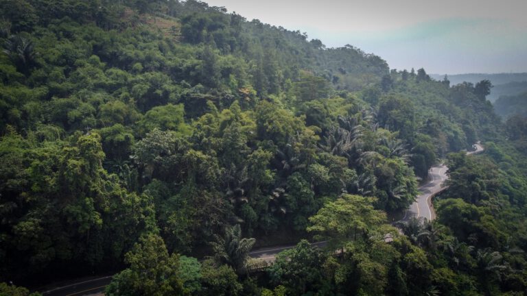 Sekilas Tentang Dayeuhluhur