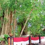 Sekilas Tentang Jembatan Cincin