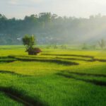 Sekilas Tentang Jembatan Cincin