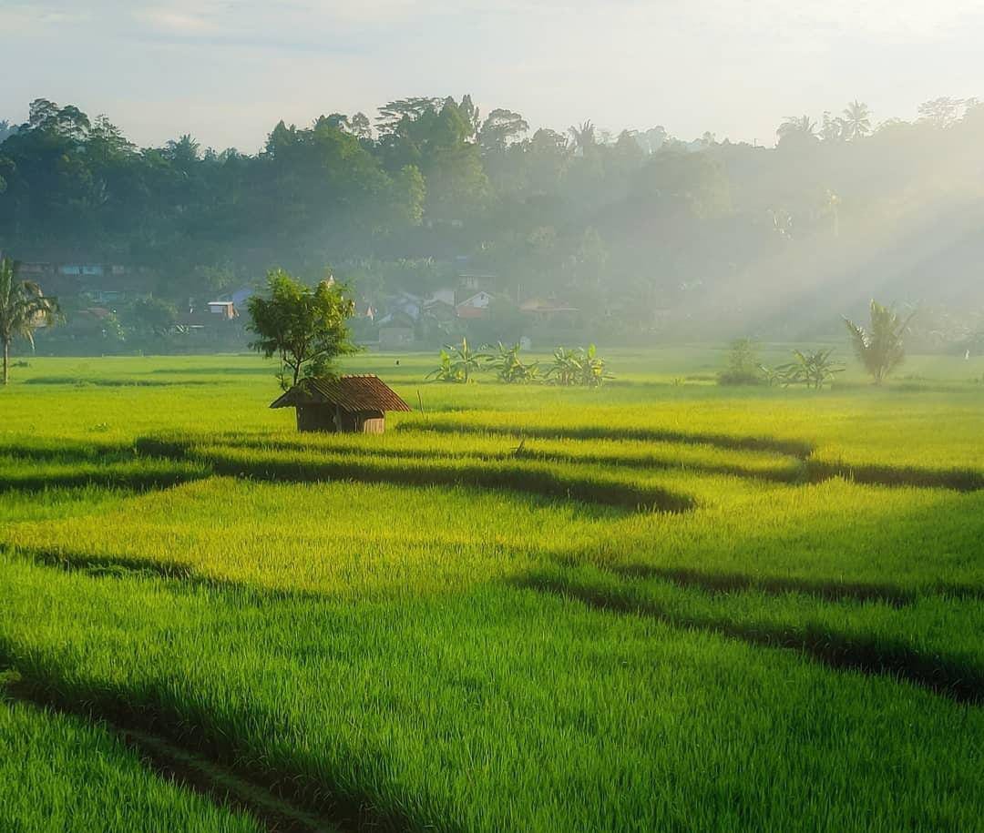 Sekilas Tentang Dayeuhluhur