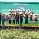 Sekilas Tentang Jembatan Cincin