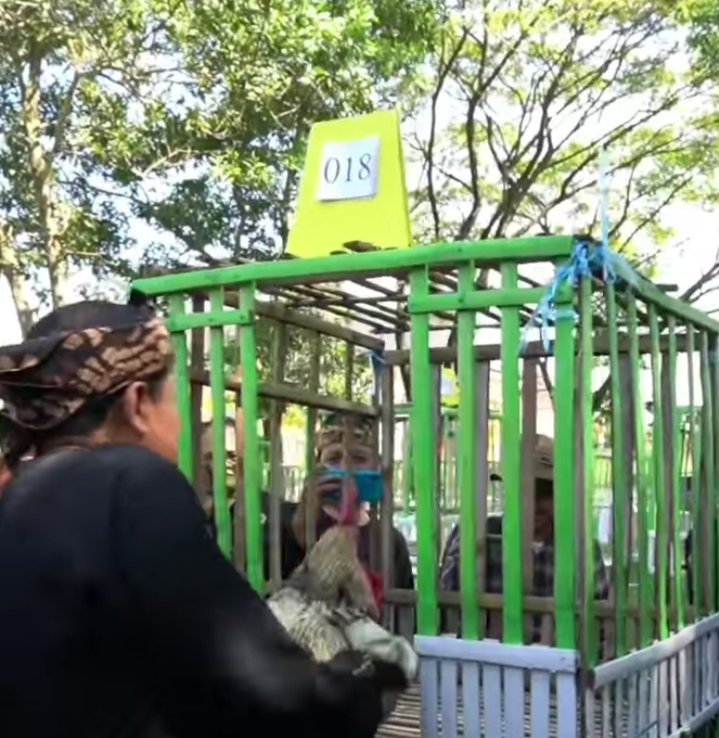 Sekilas Tentang Dayeuhluhur