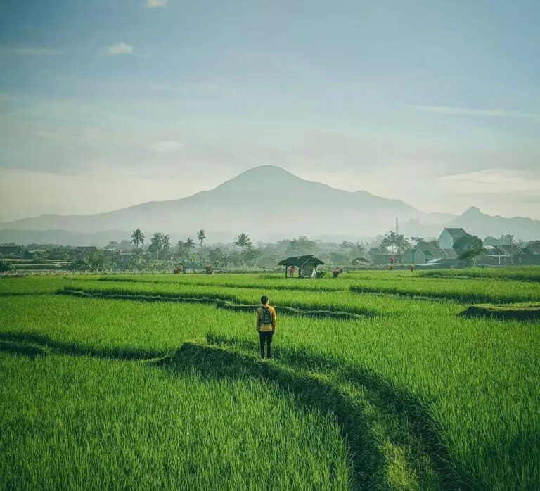 Sekilas Tentang Dayeuhluhur