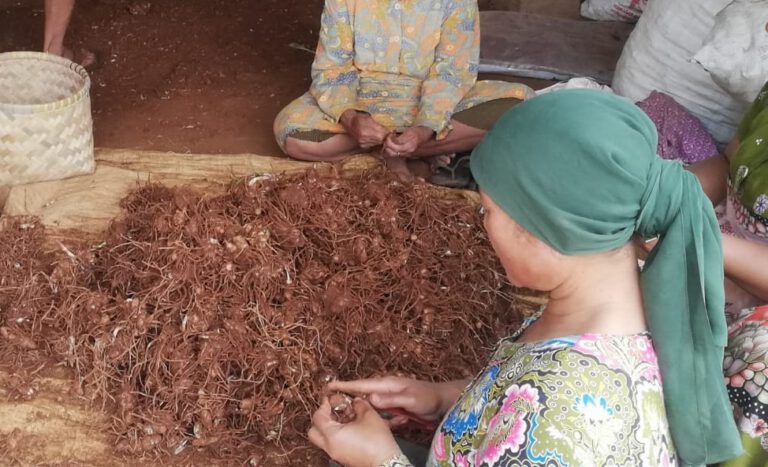 Sekilas Tentang Dayeuhluhur