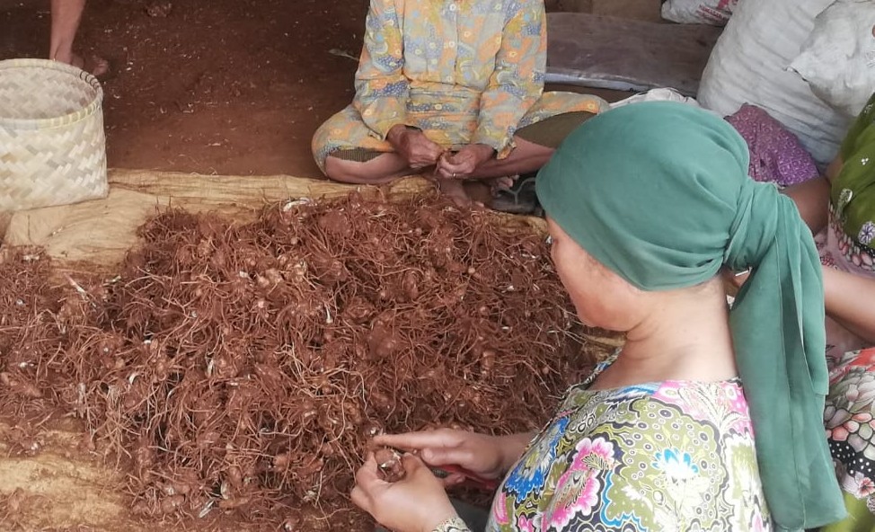 Sekilas Tentang Dayeuhluhur
