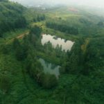 Sekilas Tentang Jembatan Cincin