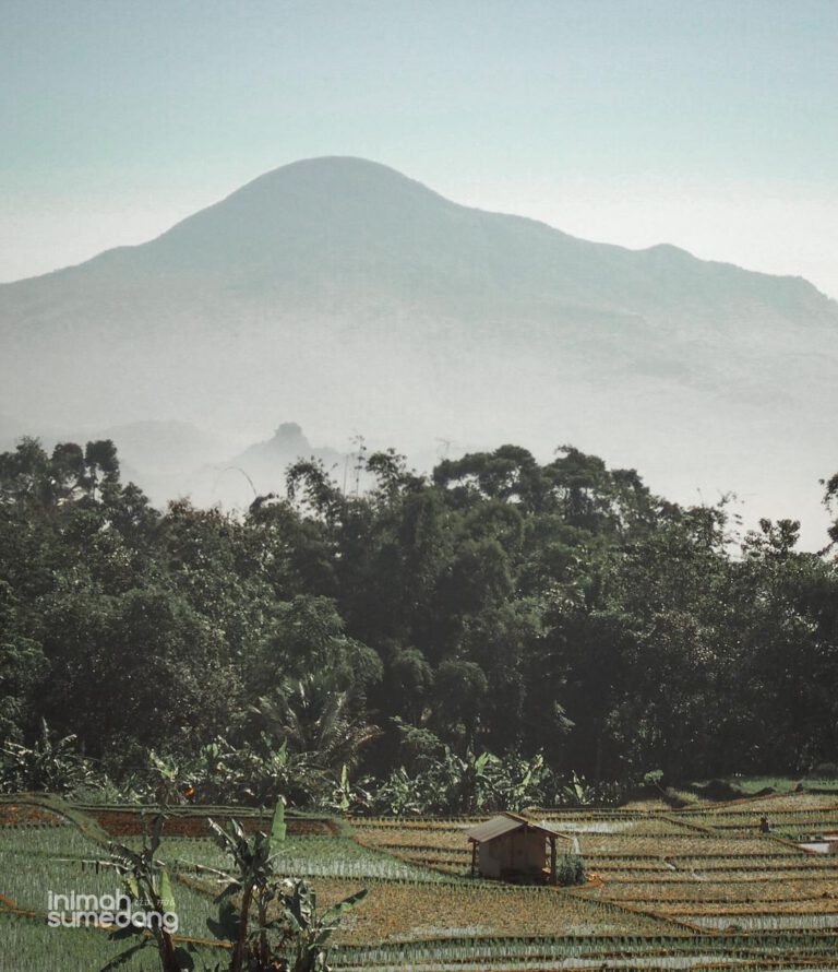 Sekilas Tentang Dayeuhluhur