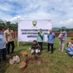 Sekilas Tentang Jembatan Cincin