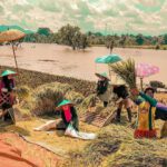 Sekilas Tentang Jembatan Cincin