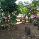 Sekilas Tentang Jembatan Cincin
