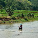 Sekilas Tentang Jembatan Cincin