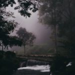 Sekilas Tentang Jembatan Cincin
