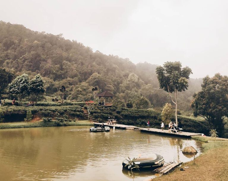 Sekilas Tentang Dayeuhluhur