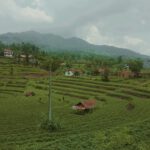 Sekilas Tentang Jembatan Cincin