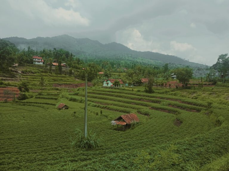 Sekilas Tentang Dayeuhluhur