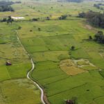 Sekilas Tentang Jembatan Cincin
