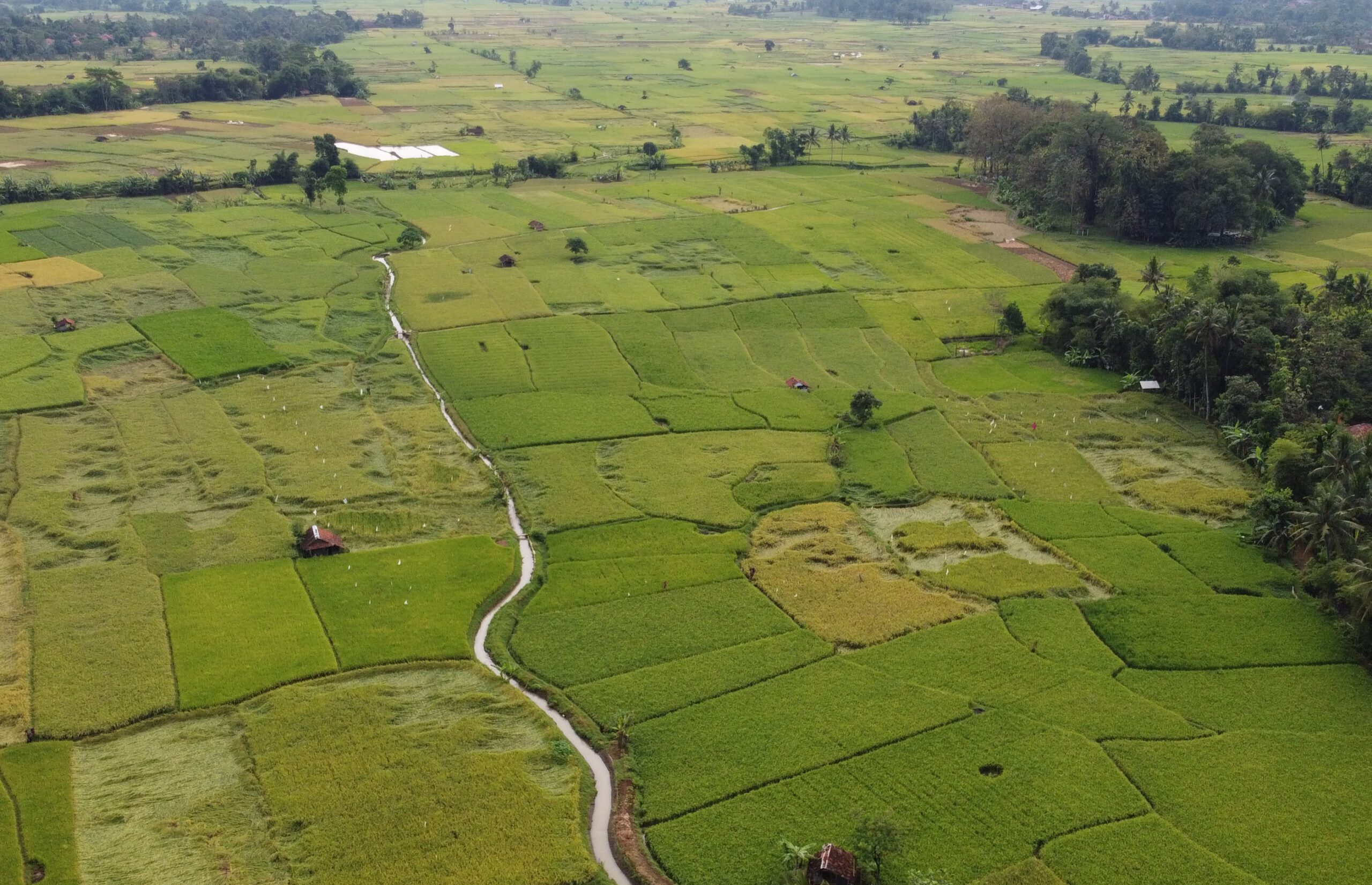 Sekilas Tentang Dayeuhluhur