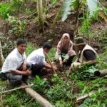 Sekilas Tentang Jembatan Cincin