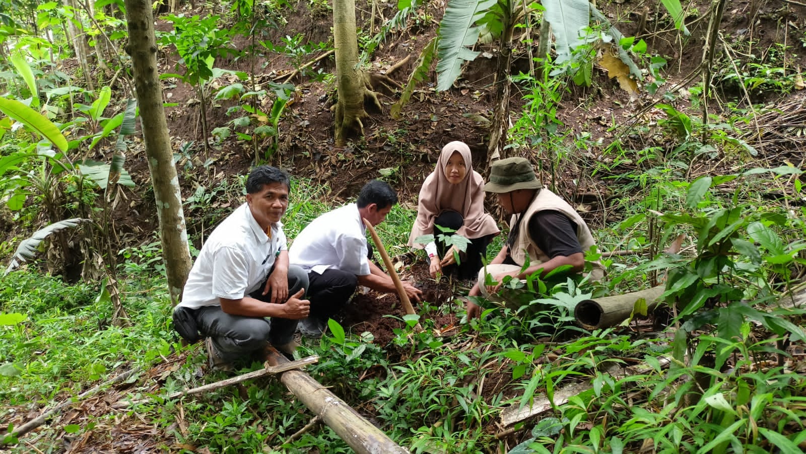 Sekilas Tentang Dayeuhluhur