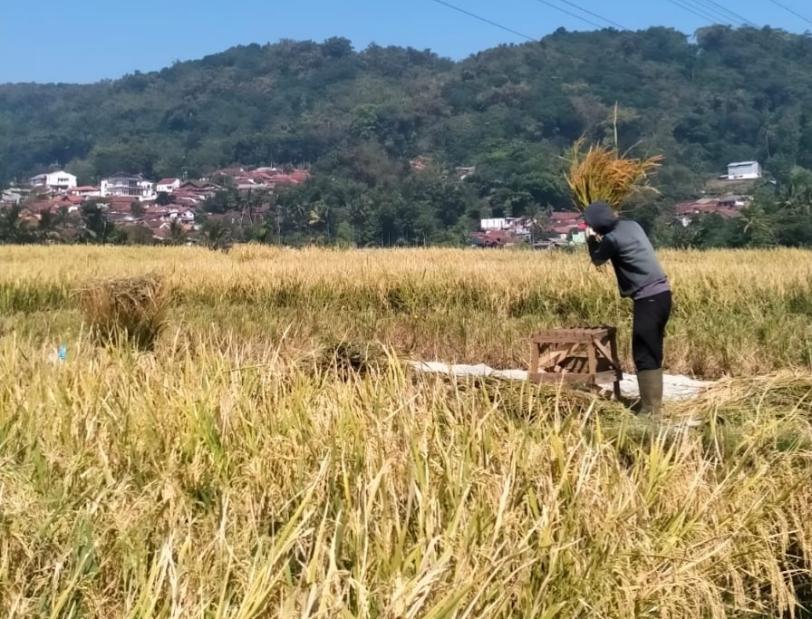 Sekilas Tentang Dayeuhluhur