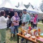Sekilas Tentang Jembatan Cincin