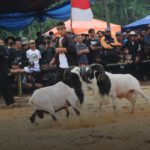 Sekilas Tentang Jembatan Cincin