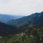 Sekilas Tentang Jembatan Cincin