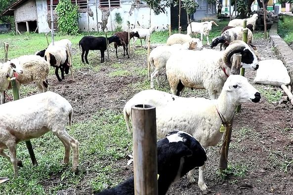 Sekilas Tentang Dayeuhluhur