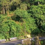 Sekilas Tentang Jembatan Cincin