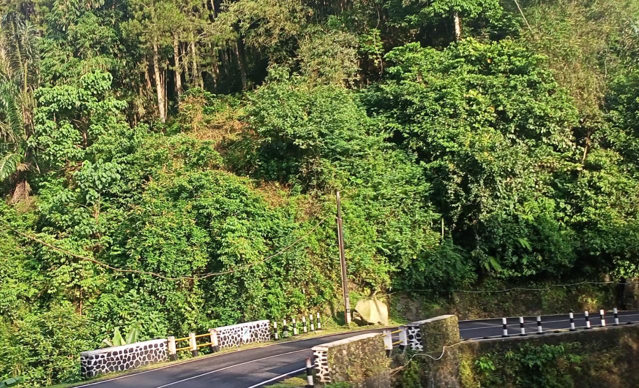 Sekilas Tentang Dayeuhluhur