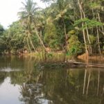 Sekilas Tentang Jembatan Cincin