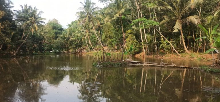 Sekilas Tentang Dayeuhluhur