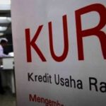 Sekilas Tentang Jembatan Cincin