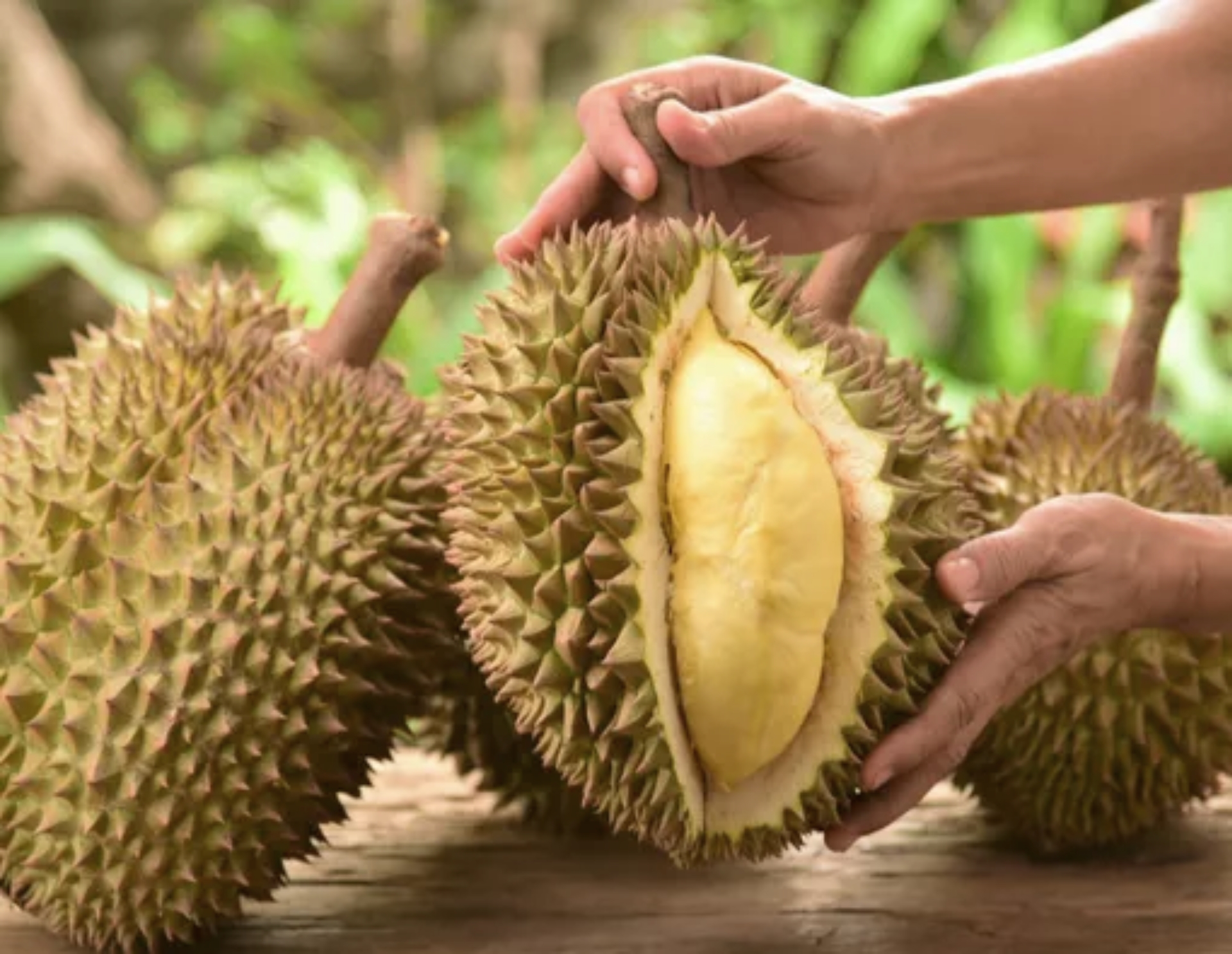 Sekilas Tentang Dayeuhluhur
