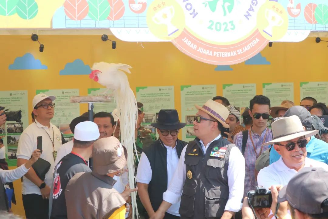 Sekilas Tentang Dayeuhluhur