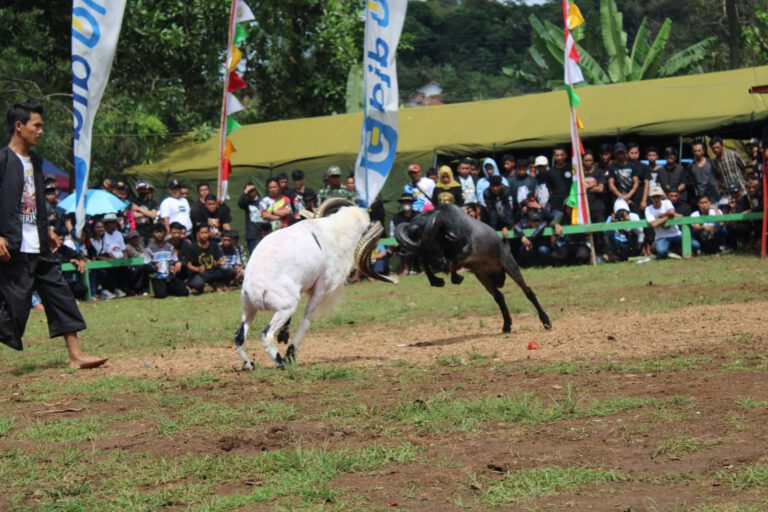 Sekilas Tentang Dayeuhluhur