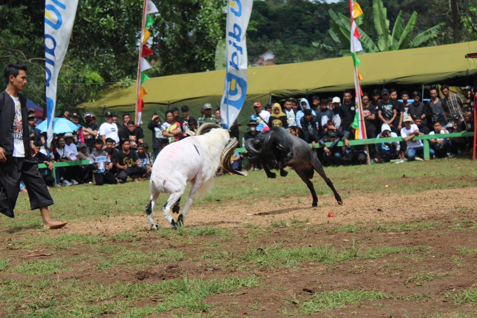 Sekilas Tentang Dayeuhluhur