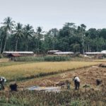 Sekilas Tentang Jembatan Cincin