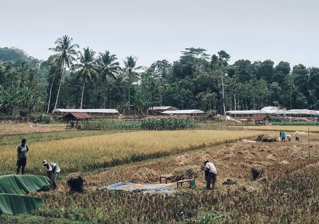 Sekilas Tentang Dayeuhluhur