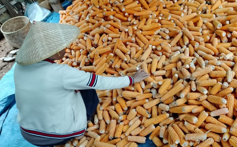 Sekilas Tentang Dayeuhluhur